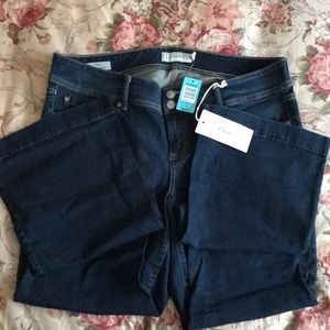 Torrid Flare Jeans